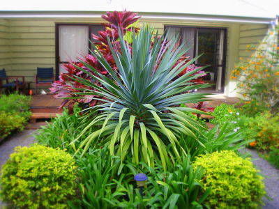 Channers On Norfolk - Accommodation Coffs Harbour 5