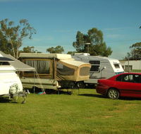 Crocodile Caravan   Camping Park - Accommodation Coffs Harbour