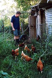 Lagoon Pocket Bed & Breakfast - Accommodation Coffs Harbour 1