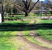 Mongans Bridge Camping Park - Accommodation Coffs Harbour