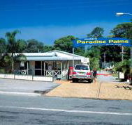 Paradise Palms Carey Bay - Accommodation Coffs Harbour