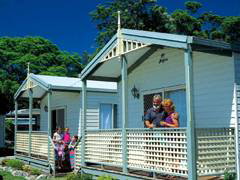 Paradise Palms Carey Bay - Accommodation Coffs Harbour 1