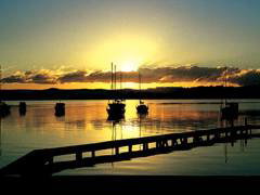 Paradise Palms Carey Bay - Accommodation Coffs Harbour 4