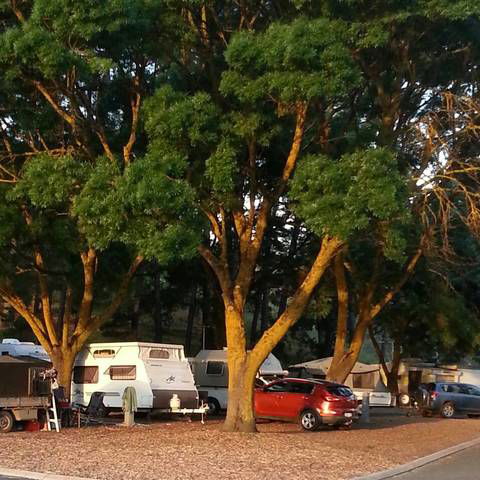 Queen Victoria Jubilee Park - Accommodation Coffs Harbour 0