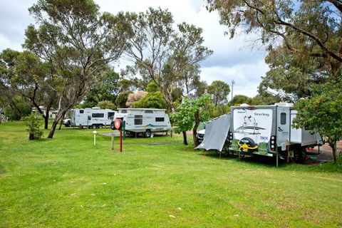 Acclaim Pine Grove Holiday Park - Accommodation Coffs Harbour 11