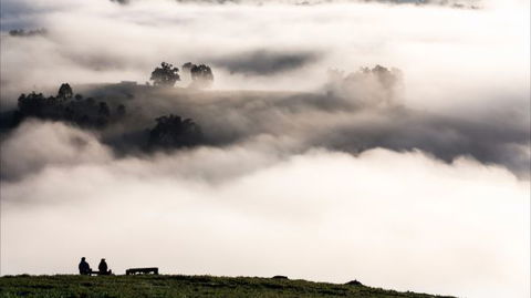 Balingup Heights Hilltop Forest Cottages - Accommodation Coffs Harbour 9