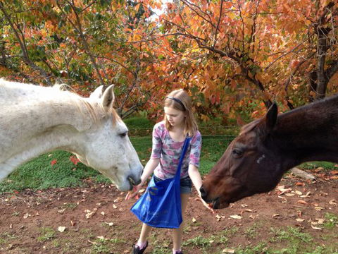 Balingup Heights Hilltop Forest Cottages - Accommodation Coffs Harbour 10