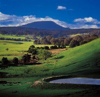 Elaine ACT Accommodation Coffs Harbour