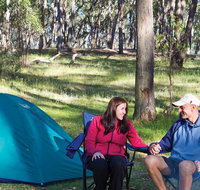 Apsley Falls campground - Accommodation Coffs Harbour