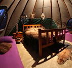 Aranyani Bison Adventure Tourist Park - Accommodation Coffs Harbour