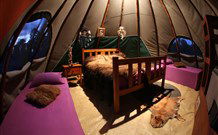 Aranyani Bison Adventure Tourist Park - Accommodation Coffs Harbour 0