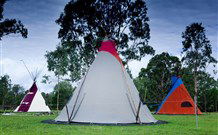 Aranyani Bison Adventure Tourist Park - Accommodation Coffs Harbour 1