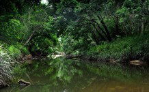 Aranyani Bison Adventure Tourist Park - Accommodation Coffs Harbour 3