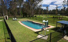 Aranyani Bison Adventure Tourist Park - Accommodation Coffs Harbour 4