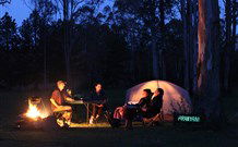 Aranyani Bison Adventure Tourist Park - Accommodation Coffs Harbour 2