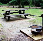 Bellbird campground - Accommodation Coffs Harbour