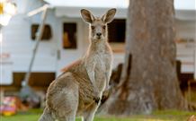 BIG4 Sunshine South West Rocks Holiday Park - South - Accommodation Coffs Harbour 3