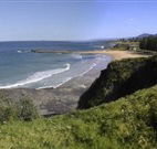Coledale Beach Camping Reserve - Accommodation Coffs Harbour