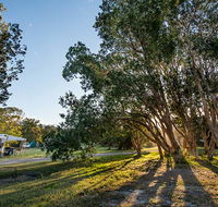 Delicate campground - Accommodation Coffs Harbour