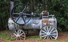 Dingo Forest NSW Accommodation Coffs Harbour