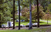 Dingo Tops Campground - Accommodation Coffs Harbour 1