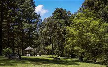 Dingo Tops Campground - Accommodation Coffs Harbour 2