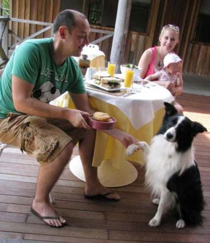 Riverwood Downs Mountain Valley Resort - Accommodation Coffs Harbour 2