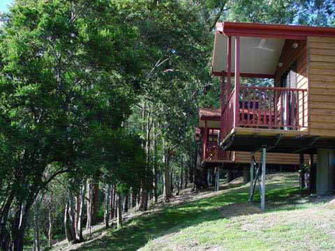 Riverwood Downs Mountain Valley Resort - Accommodation Coffs Harbour 6