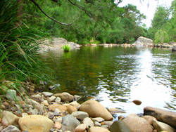 Riverwood Downs Mountain Valley Resort - Accommodation Coffs Harbour 7