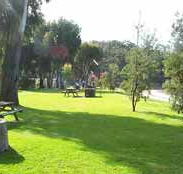 Sapphire Sun Eco Holiday Village - Accommodation Coffs Harbour