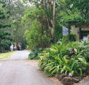 Tamborine Mountain Caravan  Camping - Accommodation Coffs Harbour