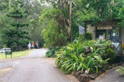 Tamborine Mountain Caravan & Camping - Accommodation Coffs Harbour 0