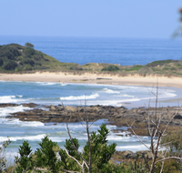 The Bowlo Holiday Cabins - Accommodation Coffs Harbour