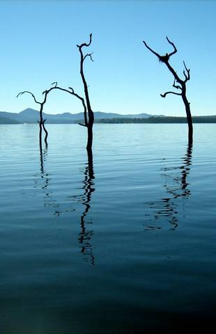 Tinaroo Lake Resort - Holiday Apartments - Accommodation Coffs Harbour 11