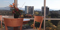Waldorf Apartment Hotel Canberra - Accommodation Coffs Harbour 5