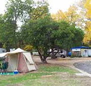 Wedderburn Pioneer Caravan Park - Accommodation Coffs Harbour