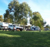 Weir Caravan Park Robinvale - Accommodation Coffs Harbour