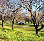Wellington Caves Caravan Park - Accommodation Coffs Harbour