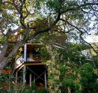 HideAway Haven - Accommodation Coffs Harbour