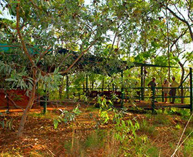 Maningrida NT Accommodation Coffs Harbour