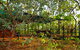 Arnhemland Barramundi Nature Lodge - thumb 0