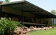 Mary River Wilderness Retreat And Caravan Park - thumb 1