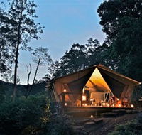 nightfall wilderness camp - Accommodation Coffs Harbour