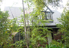 Wirilda And Cottage - Accommodation Coffs Harbour 5