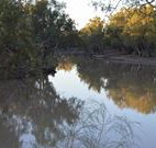 Four Mile Camping Reserve - Accommodation Coffs Harbour