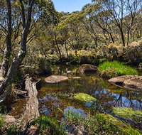 Junction Pools campground - Accommodation Coffs Harbour