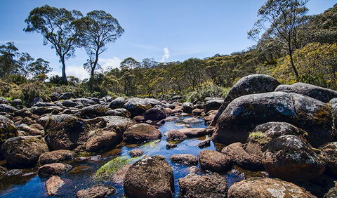 Junction Pools Campground - Accommodation Coffs Harbour 2
