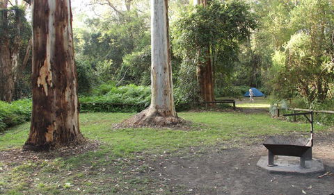 Mill Creek Campground - Accommodation Coffs Harbour 2