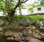 Mt Warning Rainforest Park - Accommodation Coffs Harbour