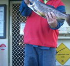 Rainbow Pines Tourist Caravan Park - Accommodation Coffs Harbour